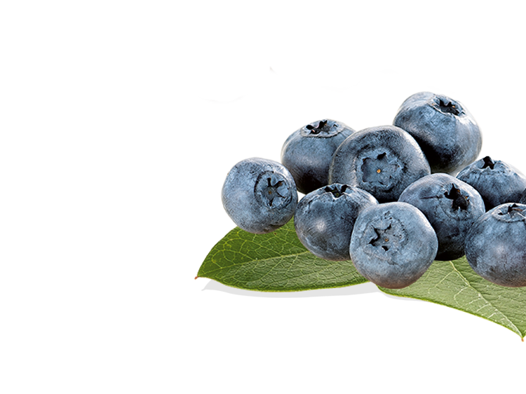 blueberry r
