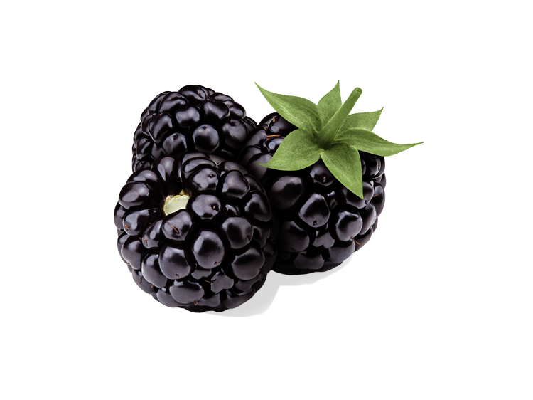 Brombeeren