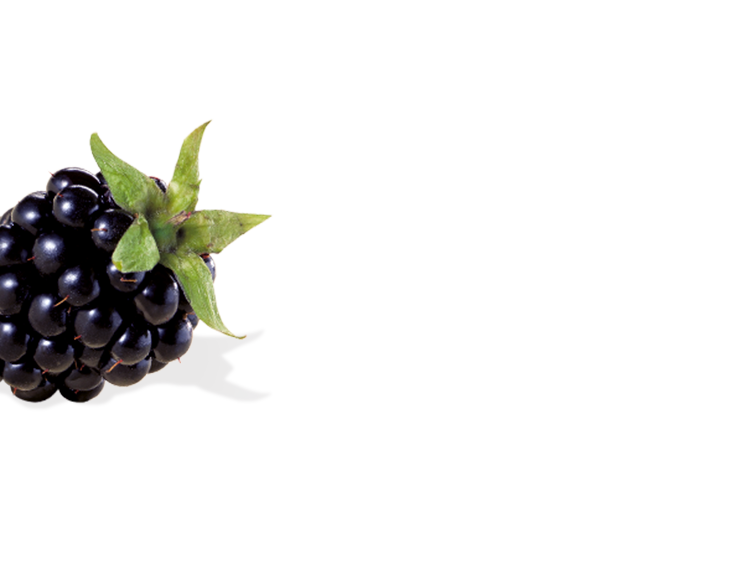 Brombeere links