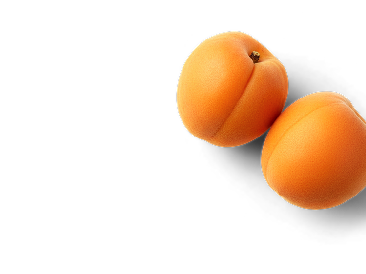 Aprikose rechts