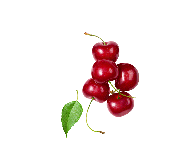 Decoratives-Cherries-Animated