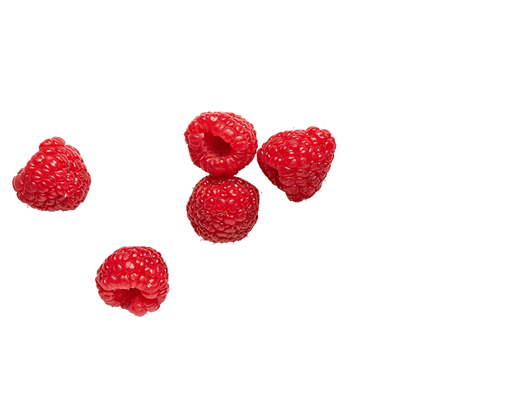 Decoratives-Himbeeren-Animated
