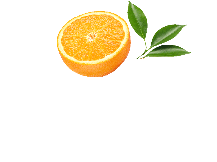 Decoratives-Orangen-Animated