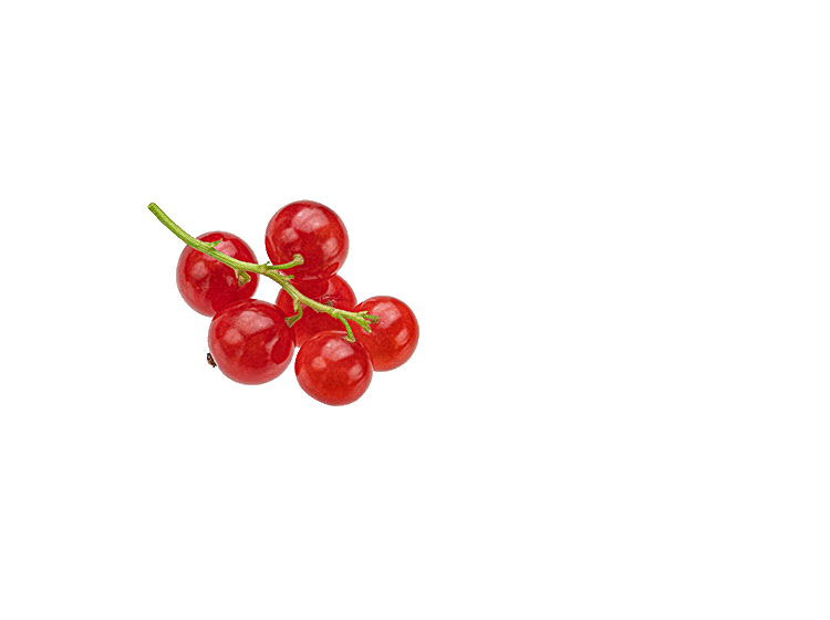 Decoratives-rote-Johannisbeeren-Animated