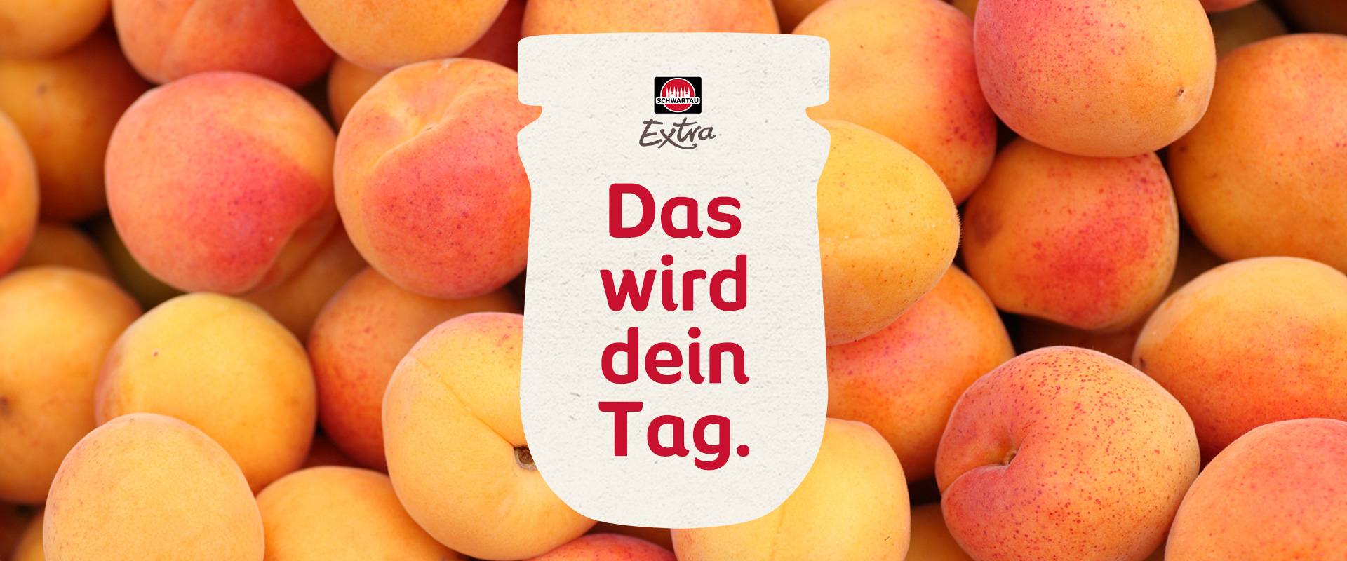 Image-Früchte-Extra-Aprikosen