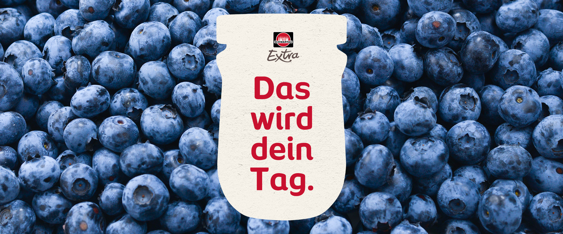 Image-Früchte-Extra-Blaubeeren