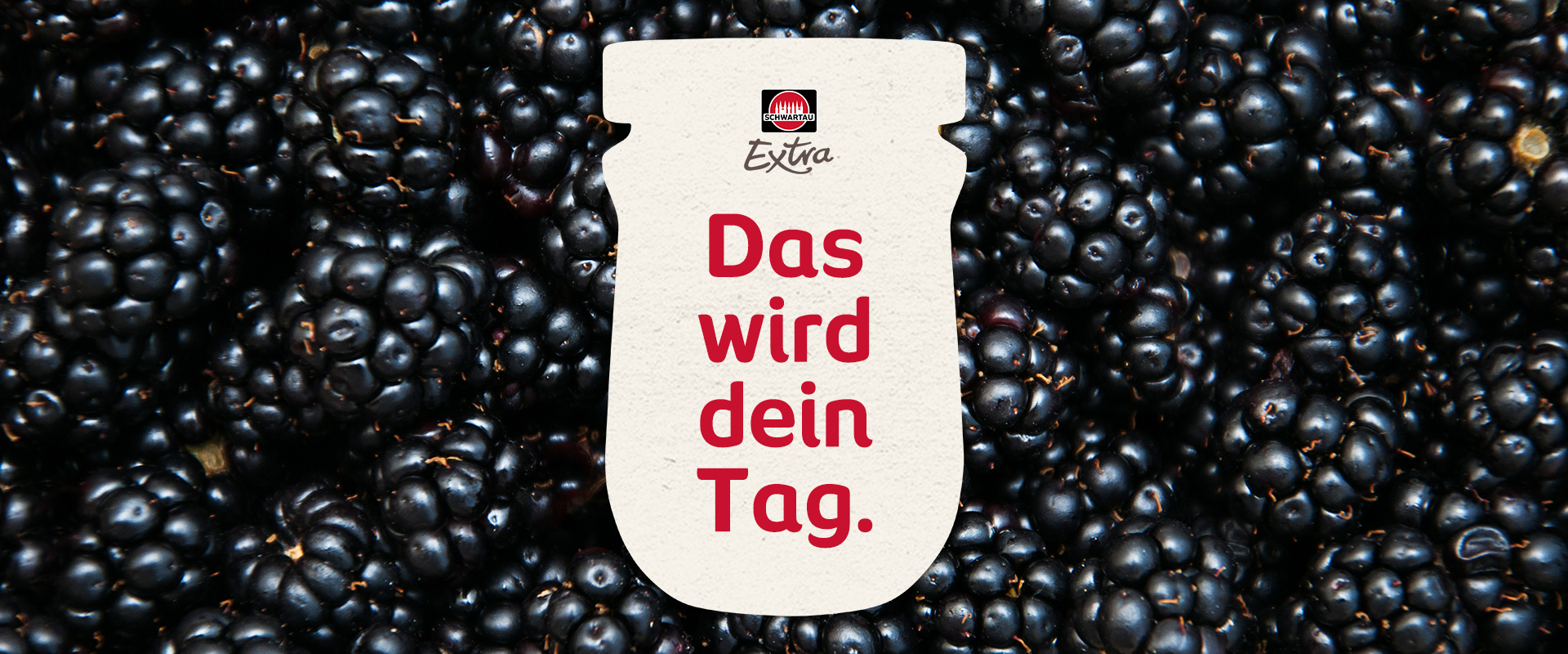 Image-Früchte-Extra-Brombeeren