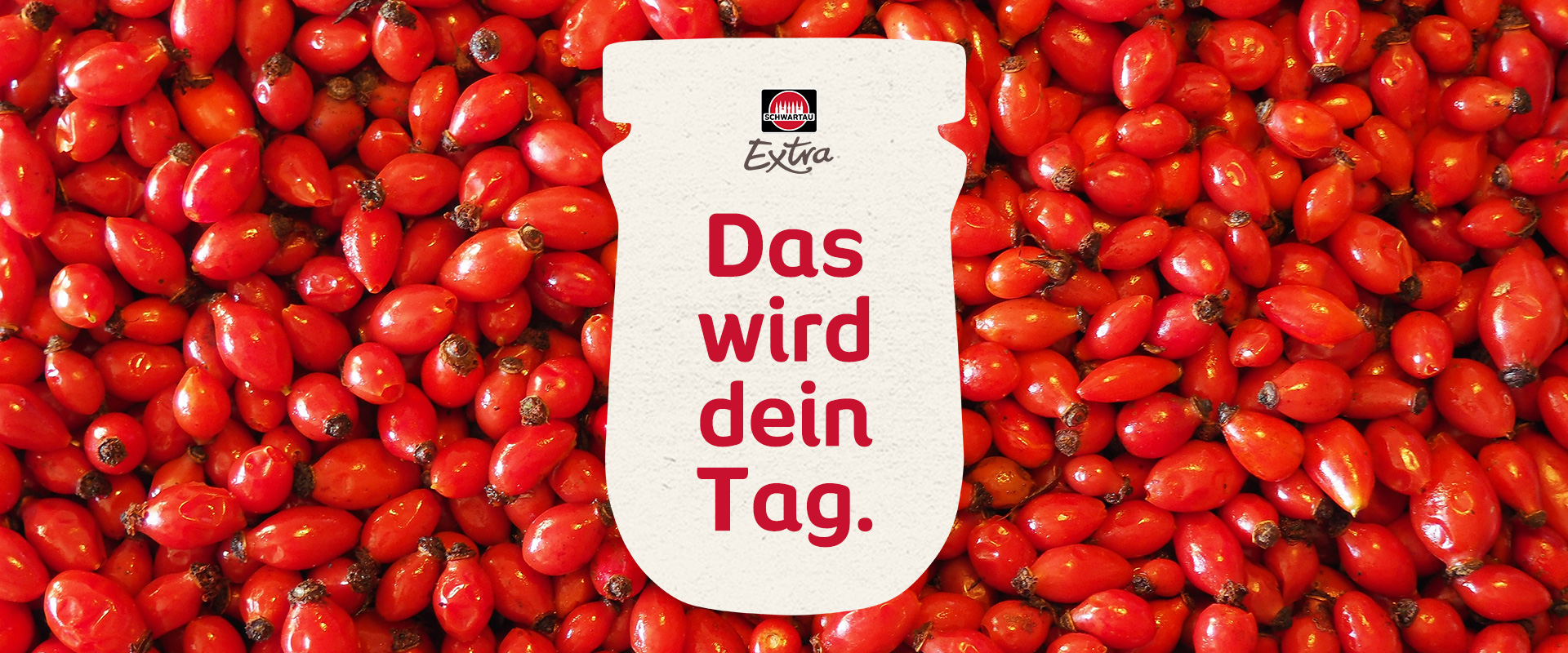 Image-Früchte-Extra-Hagebutten