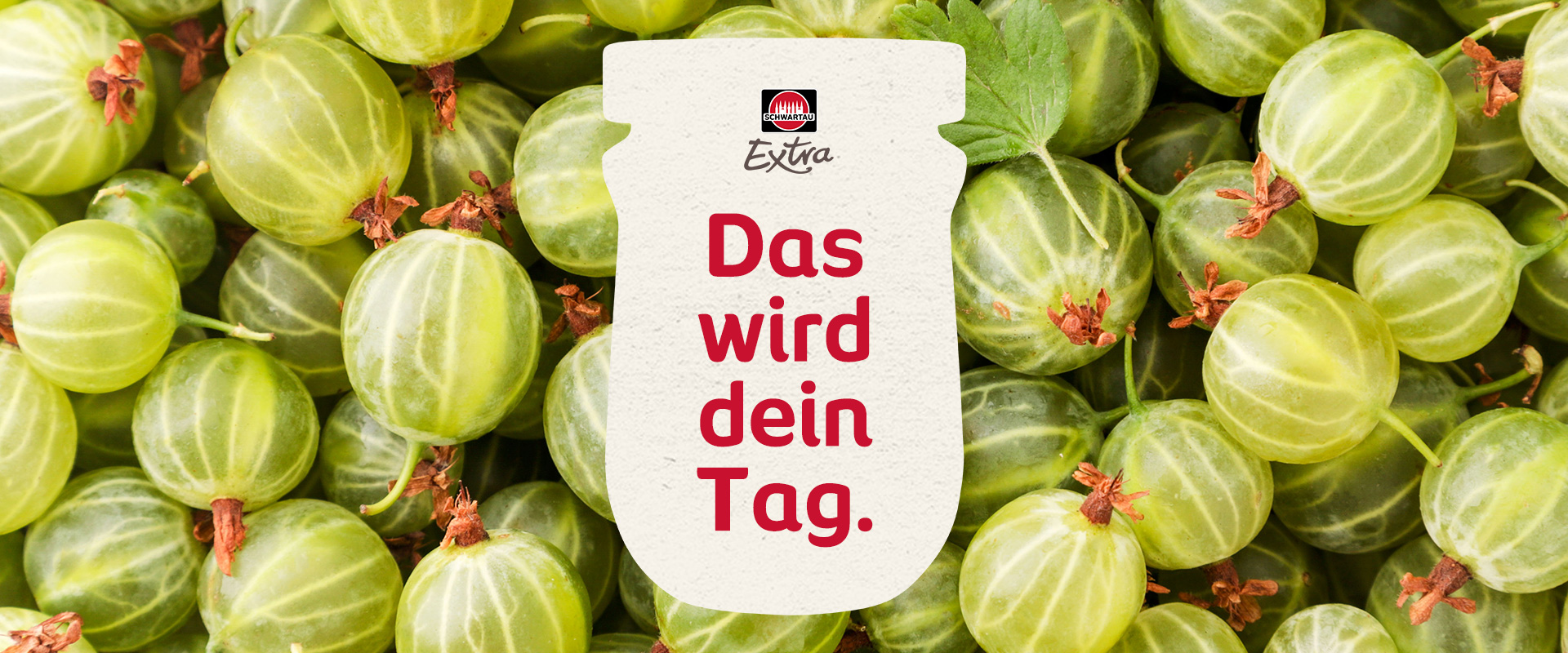 Image-Früchte-Extra-Stachelbeeren