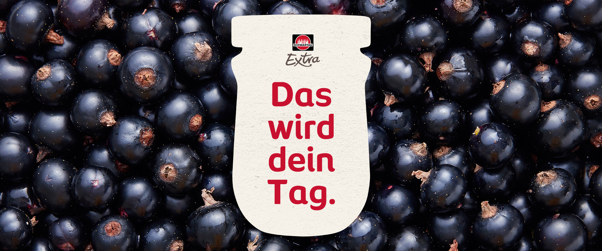 Image-Früchte-Extra-schwarze-Johannisbeeren