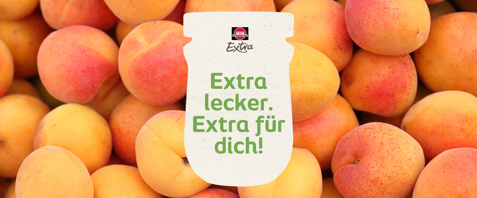 Image-Früchte-WZ-Aprikosen