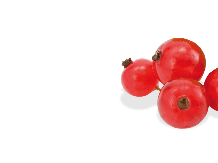 Johannisbeeren